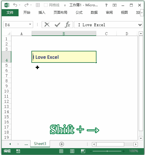 Excel 常用快捷键大全：单元格内向右或左选择一个字符